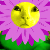 Avatar for smjsilm