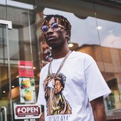 Mir Fontane