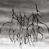 kuva_2024-09-15_031503395.png