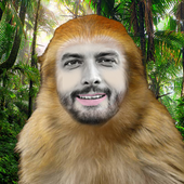 julianman1 的头像