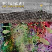 Flor del desierto