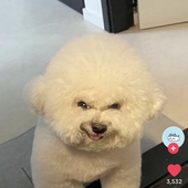 longsky_0121 的头像