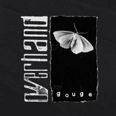 Gouge