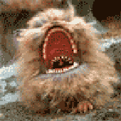 Avatar for Deatholator