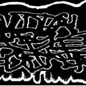 Suicidal New Age Cunt Fucker logo