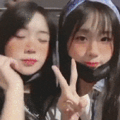 ilovechaesol 的头像