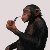 LastFM profile picture for @reactionary