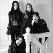 black and white yyxy