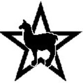 Llama Star