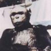 LastFM profile picture for @monkeys