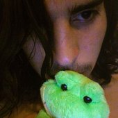 the frog
