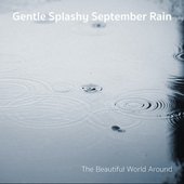 Gentle Splashy September Rain