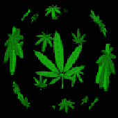 Avatar for Lsdeep2000