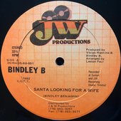 Santa Looking For A Wife