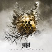 Colony Collapse Disorder