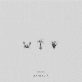 Animalia