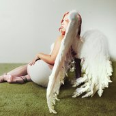 Wings