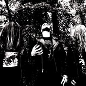 Ectovoid