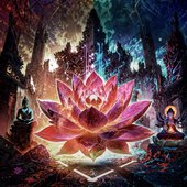 Awakening [Explicit]