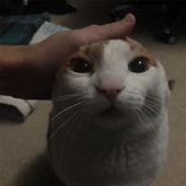 Jac_00b 的头像