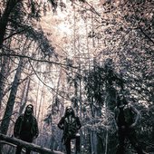 Bewitcher