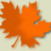 Avatar for jangos
