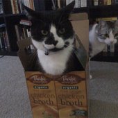 Me in a box!