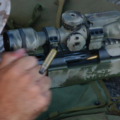 Awatar dla BravoElement