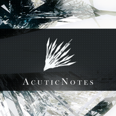 AcuticNotes