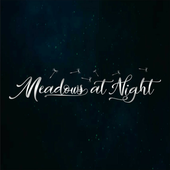 Meadows at Night 