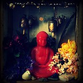 Little Red Buddha