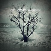 Our Living Memory