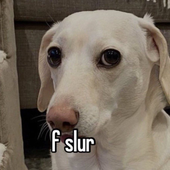 20220314_112012.png