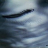 youtu.be-1s0d392JbWo (1).jpg