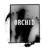 Orchid - Single