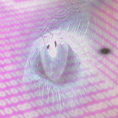 np sc icon.png
