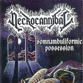 1993 - Somnambuliformic Possession