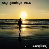 Say Goodbye Now