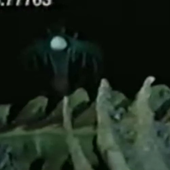 Birchwood663 的头像