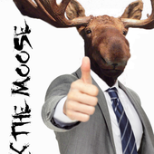 Avatar di elkthemoose