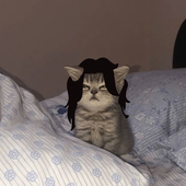 uhhlisuhh_ 的头像