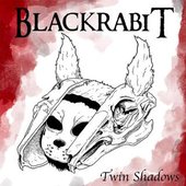Twin Shadows