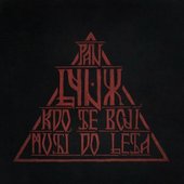 Kdo se bojí, musí do lesa