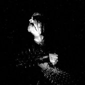 IMG_6582.jpeg