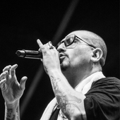 El Kalvo