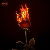 Avatar for rosegold1337