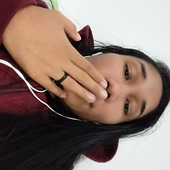 Lanesousacrvg 的头像