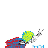 snail_trail 的头像