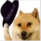 EthanPog 的头像