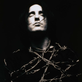 nin